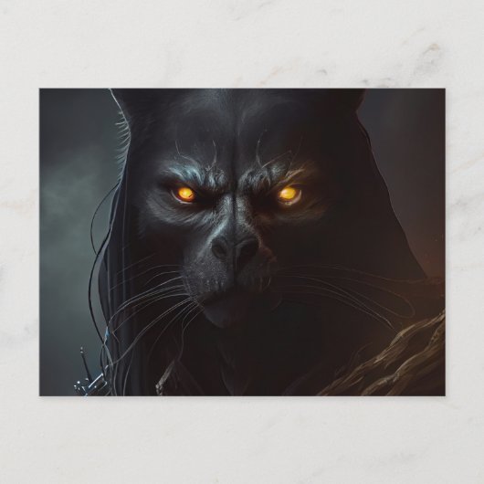 Cartes Postales Chat capuche (Devant)