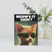 Cartes postales CHATON ROUX ART LUNETTES DE SOLEIL (Debout devant)