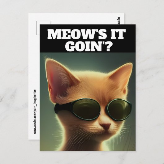 Cartes postales CHATON ROUX ART LUNETTES DE SOLEIL (Devant / Derrière)