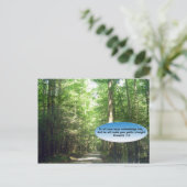 Cartes postales: Chemin dans la forêt (Debout devant)