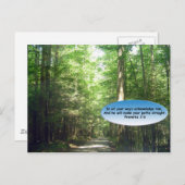 Cartes postales: Chemin dans la forêt (Devant / Derrière)