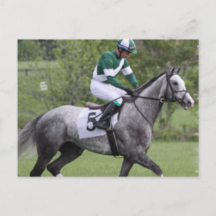 Cartes postales Cheval de course gris applaudi
