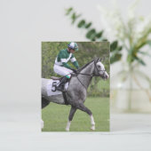 Cartes postales Cheval de course gris applaudi (Debout devant)