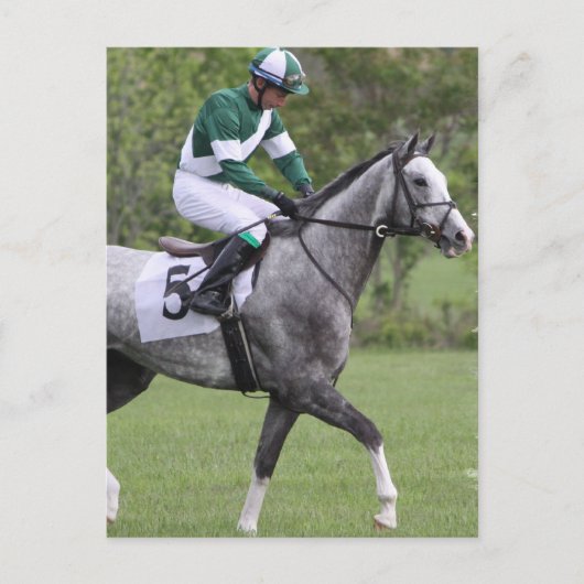 Cartes postales Cheval de course gris applaudi (Devant)