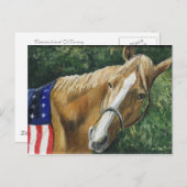 Cartes postales "Cheval Patriotique" (Devant / Derrière)