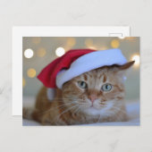 CARTES POSTALES CHRISTMAS CUTE GINGER CAT (Devant / Derrière)