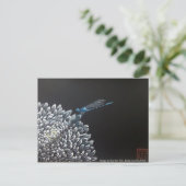 Cartes postales - Chrysanthemum et damselfly (Debout devant)