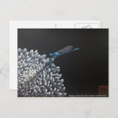 Cartes postales - Chrysanthemum et damselfly (Devant / Derrière)