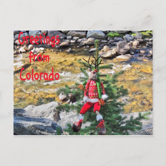 Cartes postales "Chump Christmas" (Devant)