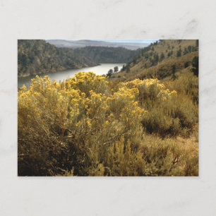 Cartes postales colorées Colorado Canyon
