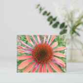Cartes postales Coneflower/Rudbeckia Flower (Debout devant)