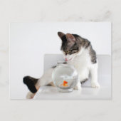Cartes postales Corky Cat (Devant)