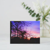 CARTES POSTALES - COUCHER DE SOLEIL SUR RIVERTON (Debout devant)