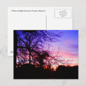 CARTES POSTALES - COUCHER DE SOLEIL SUR RIVERTON (Devant / Derrière)