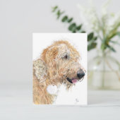 Cartes postales Cream Labradoodle (Debout devant)