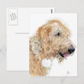 Cartes postales Cream Labradoodle (Devant / Derrière)