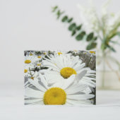 Cartes postales Daisy Flowers Ajouter votre texte  (Debout devant)