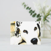 Cartes postales Dalmatiennes couchées (Debout devant)