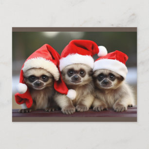 Cartes postales d'animaux de vacances 