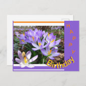 Cartes postales d'anniversaire Crocus avec Abeille (Devant / Derrière)