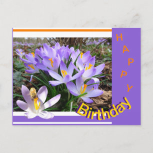 Cartes postales d'anniversaire Crocus avec Abeille