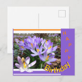 Cartes postales d'anniversaire Crocus avec Bee Hap (Devant / Derrière)