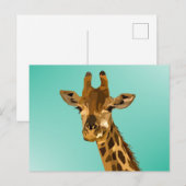 CARTES POSTALES D'ART GIRAFFE (Devant / Derrière)