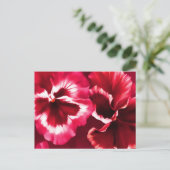 Cartes postales d'art rouge (Debout devant)