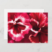 Cartes postales d'art rouge (Devant / Derrière)