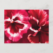 Cartes postales d'art rouge (Devant)