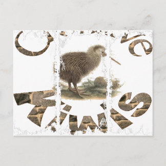 Cartes postales de 3 grandes tailles