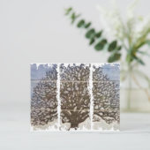 Cartes postales de 3 grandes tailles (Debout devant)