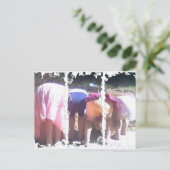 Cartes postales de 3 grandes tailles (Debout devant)