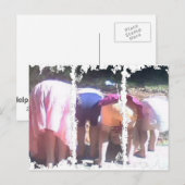 Cartes postales de 3 grandes tailles (Devant / Derrière)