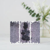 Cartes postales de 3 grandes tailles (Debout devant)