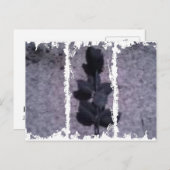 Cartes postales de 3 grandes tailles (Devant / Derrière)