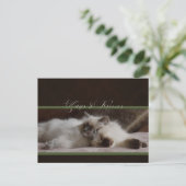 Cartes postales de baisers (Debout devant)