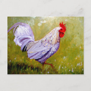 cartes postales de beaux oiseaux 12