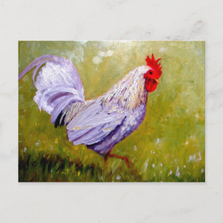 cartes postales de beaux oiseaux 12