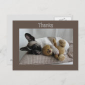 Cartes postales de bouledogues français "Merci" (Devant / Derrière)