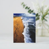 Cartes postales de Brighton (Debout devant)