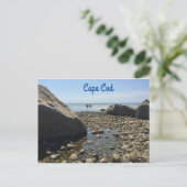 Cartes postales de Cape Cod (Debout devant)