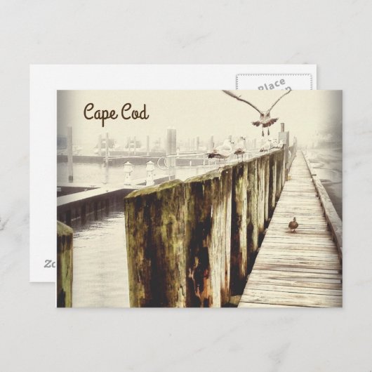 Cartes postales de Cape Cod (Seagull Harbour) (Devant / Derrière)