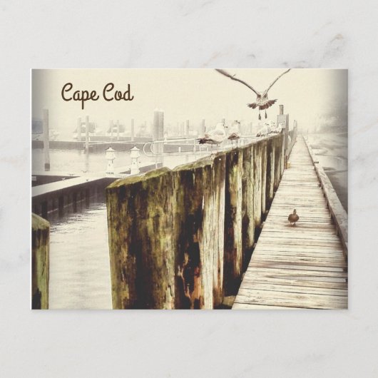 Cartes postales de Cape Cod (Seagull Harbour) (Devant)