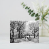 Cartes postales de Central Park (Debout devant)