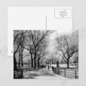 Cartes postales de Central Park (Devant / Derrière)