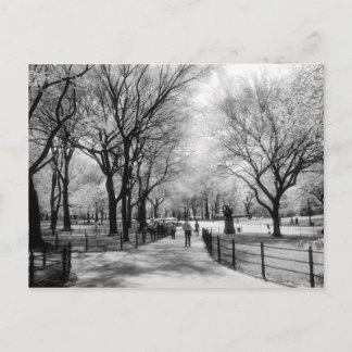 Cartes postales de Central Park