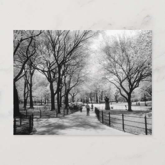 Cartes postales de Central Park (Devant)