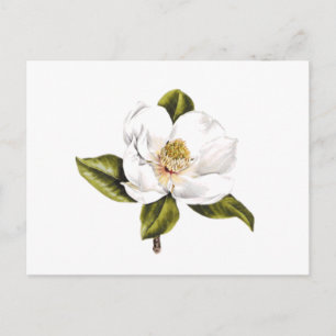 Cartes postales de changement d'adresse - ensemble