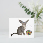 Cartes postales de chaton de Pâques (Debout devant)